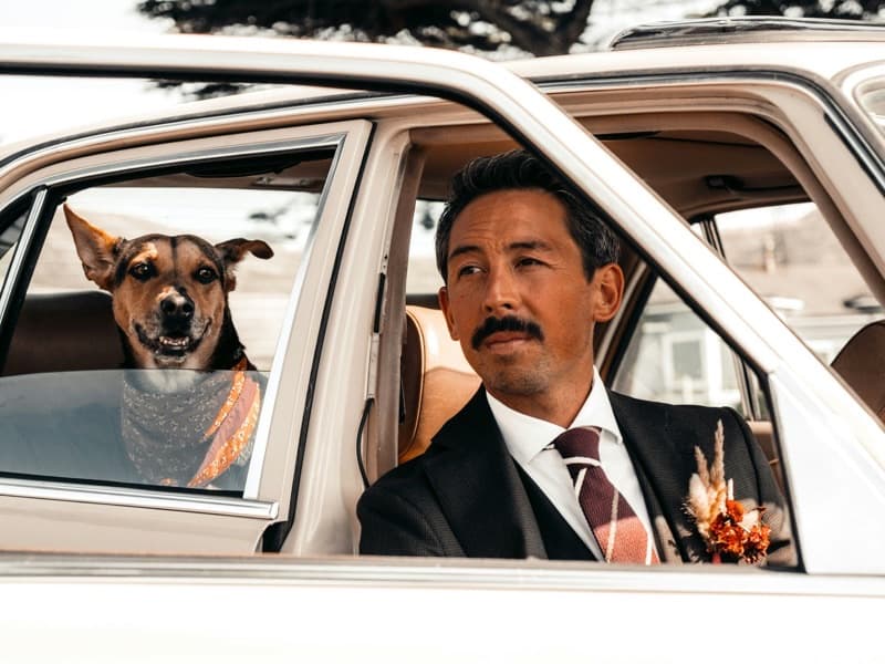 Atta Boy! Animal Care