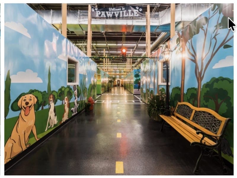 Paws and Claws Pet Care, Inc.