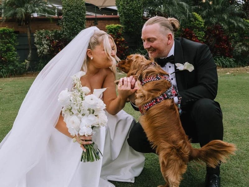 Raleigh Trusted Pet Sitting